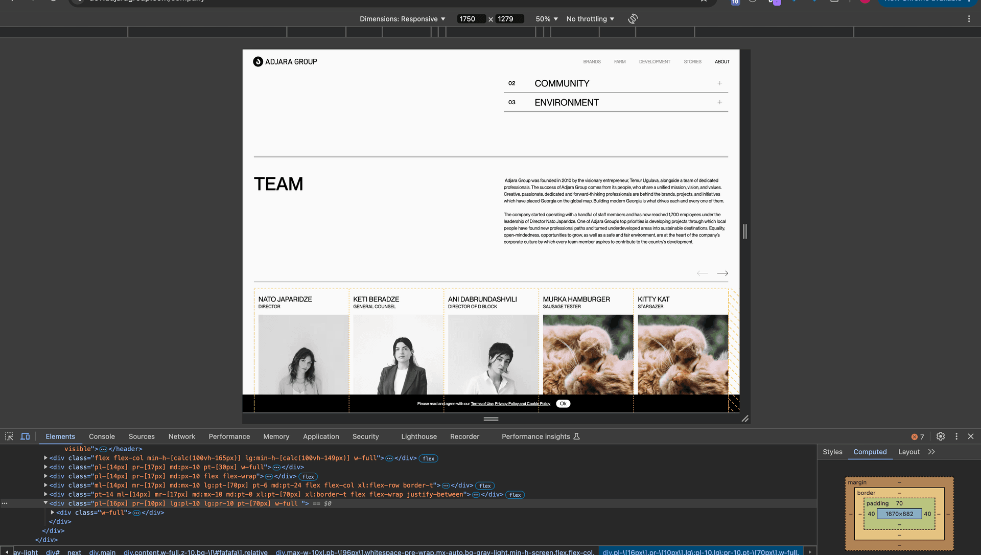 Project image